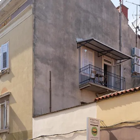 Polesana 4*